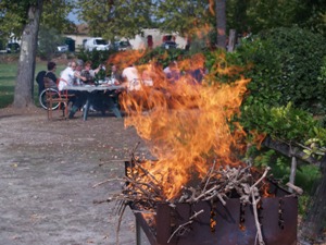 Dgustation de vin et barbecue au feu de sarmenrts de vigne
