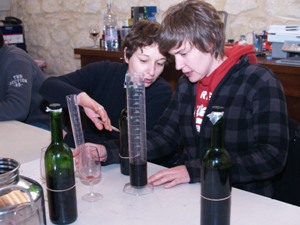 Stage oenolgie  Bordeaux pendant la journe vinification