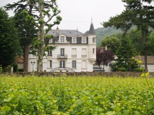 location pieds de vigne Gourmet Odyssey  Domaine Chapelle, Bourgogne