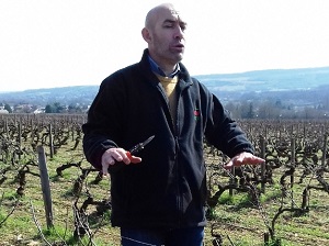 Stage au domaine avec le vigneron en Bourgogne