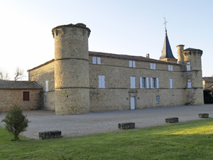 Apprendre l'art de la vinification lors de la Journée d'initiation à la vinification au Château de Jonquières 