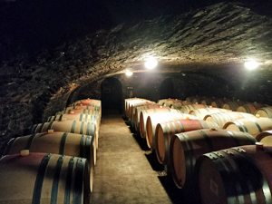 Venez adoptez des vignes bio de Bourgogne avec Gourmet Odyssey