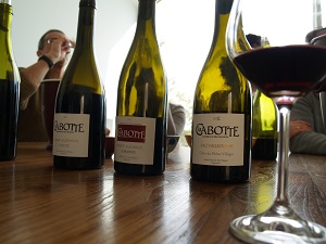 Parrainage de vigne et apprentissage de la dégustation de vin
