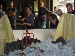 Faites découvrir le métier de vigneron en offrant une Expérience Vin Gourmet Odyssey en cadeau