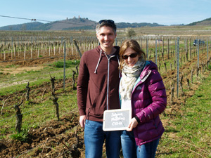 Location ceps de vigne bio en Alsace