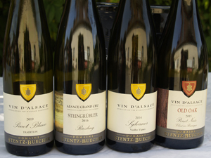 Atelier dégustation de vins d'Alsace bio avec le vigneron