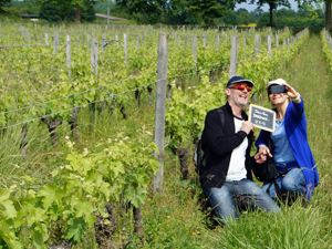 Locations de ceps de vigne  Bordeaux