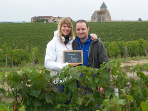 Location ceps de vigne  Chablis, Bourgogne