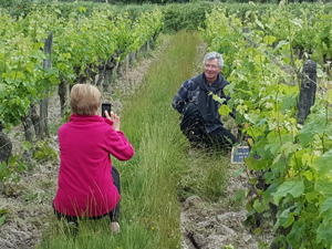 Adoption de ceps de vigne en France dans la rgion du Val de Loire