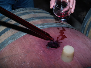 Stage oenologie sur la vinification et assemblage d'un vin