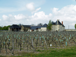 Stage d'oenologie  Chinon, Val de Loire. Coffret cadeau dans les vignes pour un amateur de vin.