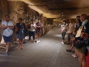 Visite de cave avec le vigneron en Val de Loire