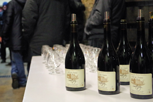 Dgustation vins en Bourgogne