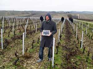 Coffret cadeau parrainge de ceps de vigne  Chablis en Bourgogne. Visite de la parcelle de vigne adopte.