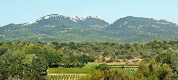 Expérience Vin dans la Vallée du Rhône