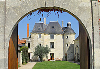 Cadeau original vin. Adoption pieds de vigne bio dans le Loire au Château de la Bonnelière, Chinon, cadeau d'anniversaire original pour un amateur de vin.