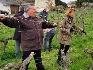 Stage en vigne avec le vigneron en Val de Loire
