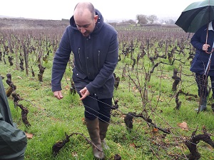 Journée avec un vigneron bio de Bourgogne