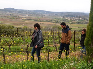 Parrainage de vignes en Languedoc au Domaien Allegria
