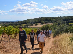 Visite de vignoble au Domaine Allegria Languedoc