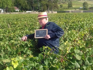 Parrainage de vignes à Santenay en Bourgogne