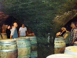 Cadeau vin stage oenologie au domaine visite de cave