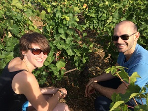 Adoption de vignes bio à Santenay en Côte d'Or