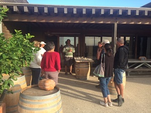 Rencontre viticulteur bio à Pézenas dans le Languedoc