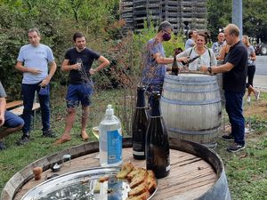 Dégustation de vins bios de Loire