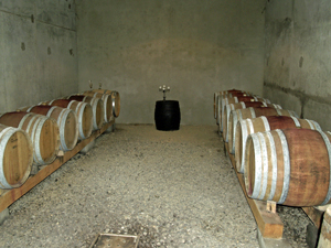 Suivre l'élaboration du vin durant la vinification