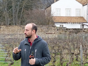 Explication du travail en vigne au domaine Chapelle en Bourgogne