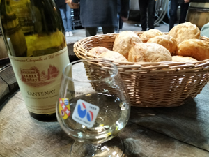Dégustations des vin adoptés bio par Gourmet Odyssey en Bourgogne