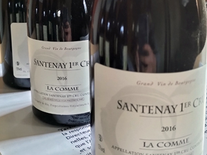 Degustez vos vignes adoptées bio de Bourgogne avec Gourmet Odyssey