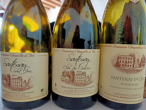 Coffret cadeau dégustation de vins bio à Santenay en Bourgogne