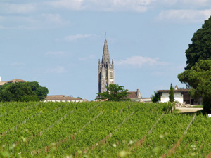 Visite des vignes et de la cave au Château Coutet à Saint Emilion