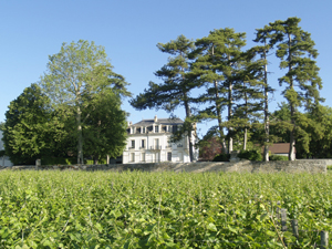 Parrainage vignes bios au Domaine Chapelle à Santenay
