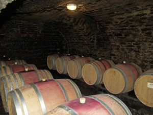 Visite et dégustation de vins bios de Bourgogne au domaine