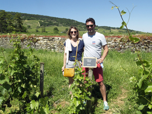 Location de vignes bios et stages oenologiques en Bourgogne