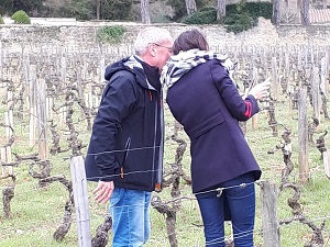 Coffret vin adoption de vignes bio en Bourgogne