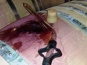 Journée vinification et élevage des vins de Bourgogne à Santenay