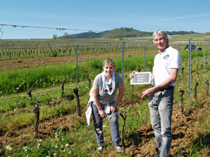 Coffret cadeau adoption pied de vigne en Alsace.