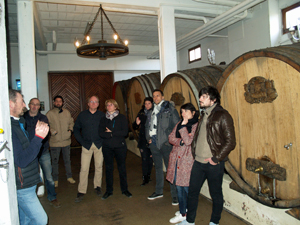 Visite de la cave de vinification des vins