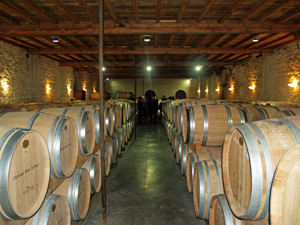 Parrainage de pieds de vigne à Bordeaux et bouteilles de vin personnalisées