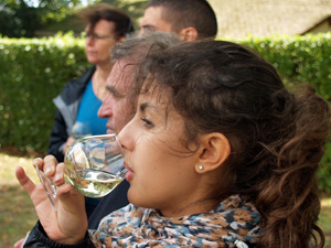 Dégustation des vins bio avec le vigneron à Santenay, Côtes de Beaune, Bourgogne