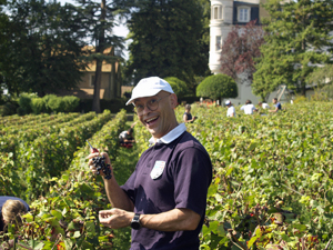 Cadeau vigneeron pour vendanger des raisins en Bourgogne