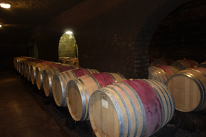 Box oenoligque pour créer son vin bio personnalisé en Bourgogne
