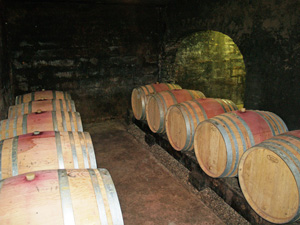 Visite cave domaine vinicole bio en bourgogne