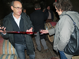 Box oenologie autour du vin en Bourgogne