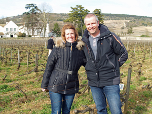 Location de pieds de vigne en Bourgogne