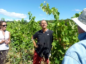 Coffret cadeau dans la vigne dans le Cotes du Rhône